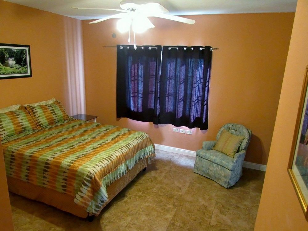Centrally Located Guest Apartments Kingston Exterior photo